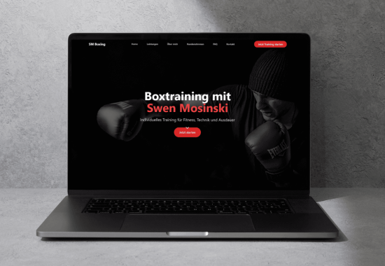 SM Boxtraining Rezension SM Boxtraining Rezension